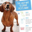 Adams, Flea & Tick Spray Plus Precor 16 oz - Pack of 2