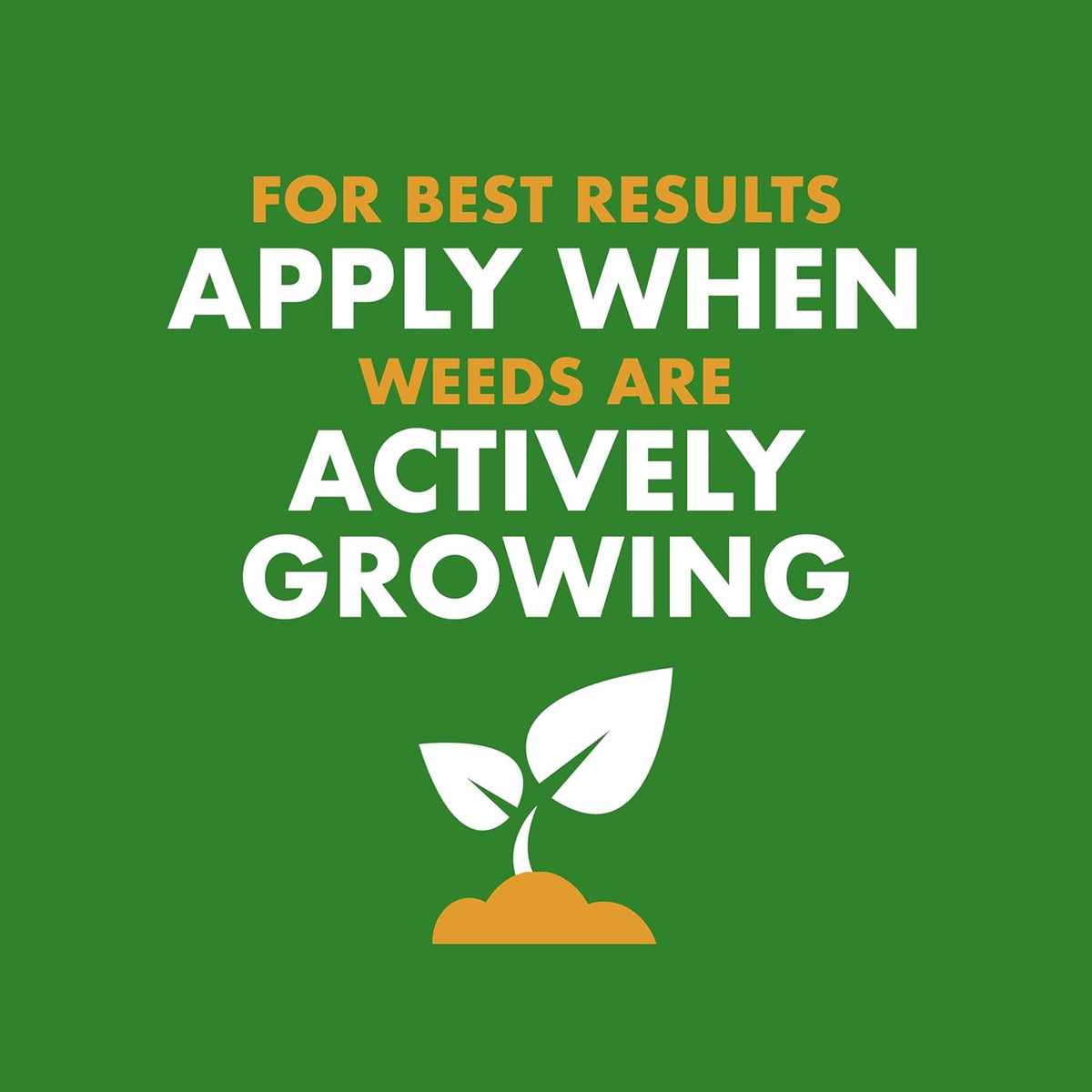 Spectracide, Weed & Feed 20-0-0 (Ready-to-Spray) (32 fl oz), 1 pack