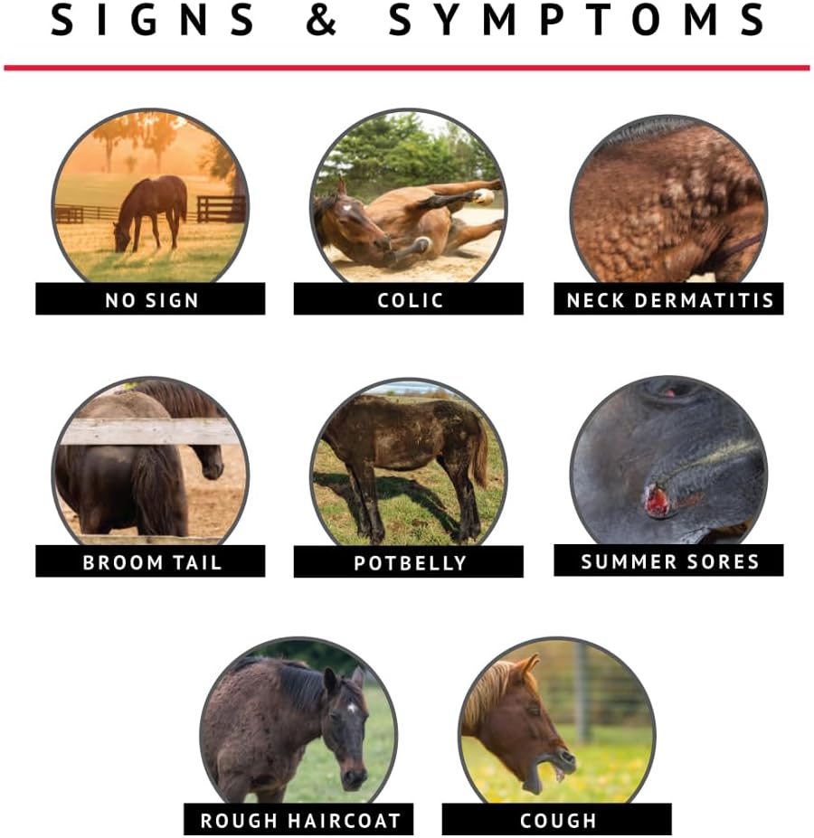 Bimectin, Ivermectin Paste 1.87% | Single Dose | Apple Flavored