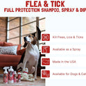 Bio-Groom, Flea & Tick Dog Shampoo – Flea and Tick Prevention for Dogs, Cat Flea Treatment, Cruelty-Free, Made in USA, Natural Tick Repellent, Protein-Lanolin Shampoo – 32 fl oz 1-Pack