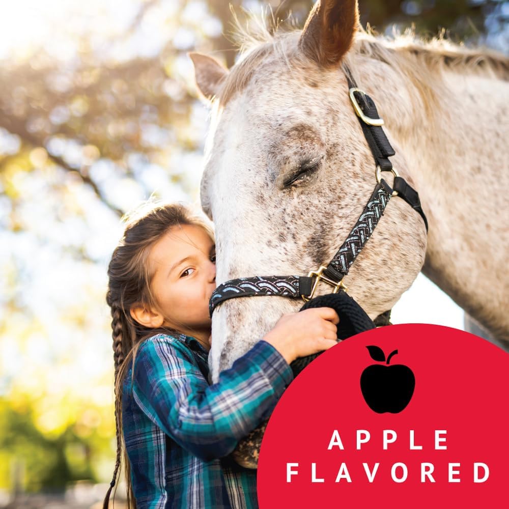 Bimectin, Ivermectin Paste 1.87% | Single Dose | Apple Flavored