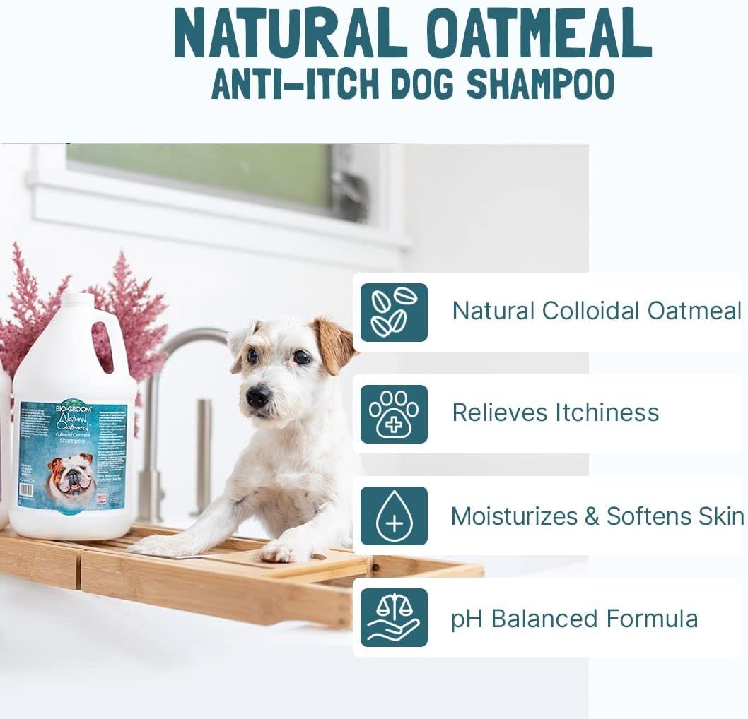 Bio-Groom, Oatmeal Dog Shampoo – for Allergies and Itching, Cruelty-Free, Dog Bathing Supplies, Puppy Shampoo for Sensitive Skin, Made in USA, Anti-Itch Dog Products – 32 fl oz 1-Pack