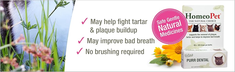 HomeoPet, Feline Purr Dental Safe and Natural Tooth and Dental Care for Cats 15 Milliliters