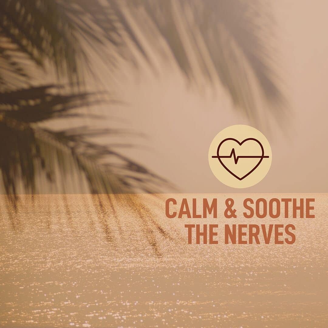 Taki Mai, Noble Kava Kava Root Powder 16oz – Authentic Traditional Grind, Natural Evening Relaxation, Restful Nights and Calm Rituals, 100% Pure Noble Kava