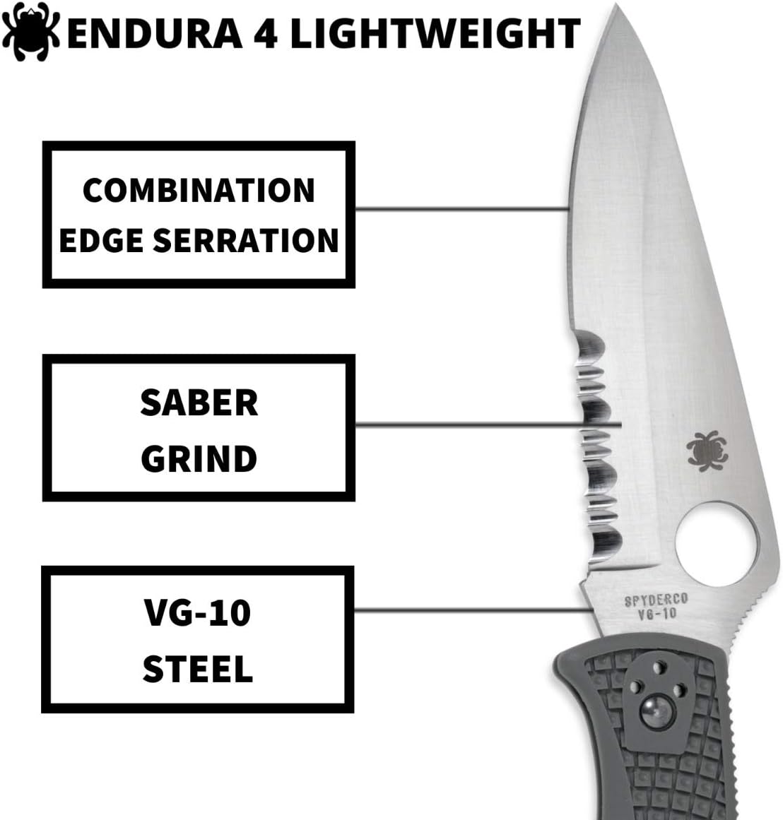 Spyderco, Endura 4 Lightweight Signature Knife with 3.80" VG-10 Steel Blade and Foliage Green FRN Handle - CombinationEdge - C10PSFG