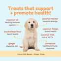 CocoTherapy, Coco-Milk Bones Dog Treat (Ginger Snaps) 6 Oz.