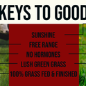 Nick's Sticks, Clean & Balanced 100% Grass-Fed Spicy Beef Snack Sticks | Made in the USA | Gluten Free | Paleo, Keto, Whole30 Approved | No Soy, Antibiotics or Hormones (12 – 1.7oz. Packages of 2 Sticks)