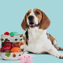 Nocciola, Dog Squeaky Toys, Plush Small Dog Toys for Dogs, Stuffed with Squeakers,12 pcs Puppy Toys with a Carrying Bag for Small Medium Size