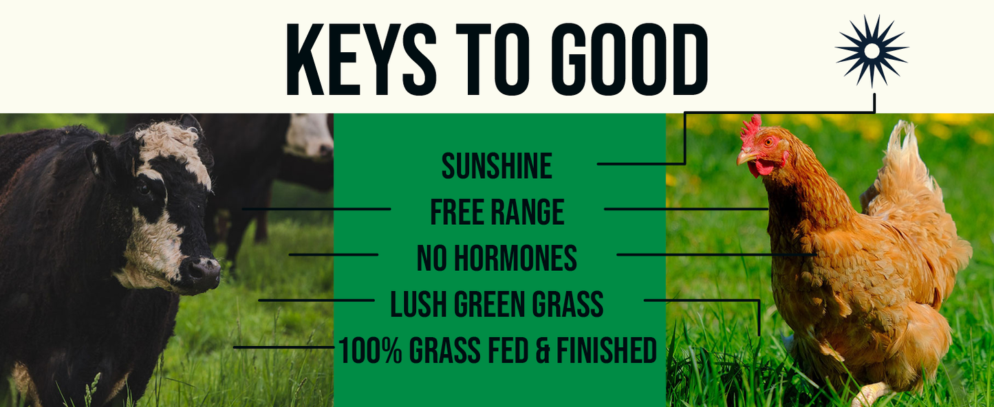 Nick's Sticks, Clean & Balanced Free Range Turkey Snack Sticks | Made in the USA | Gluten Free | Paleo, Keto, Whole30 Approved | No Soy, Antibiotics or Hormones (12 – 1.7oz. Packs of 2 Sticks)