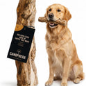 Canophera, Coffee Wood Dog chew Sticks for Regular chewers - Size Large