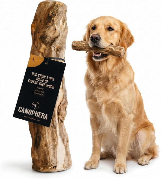 Canophera, Coffee Wood Dog chew Sticks for Regular chewers - Size Large
