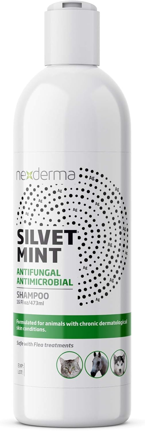 NEXDERMA, Natural Colloidal Medicated Pet Shampoo for Dogs and Cats - Tearless Hypoallergenic, Soap Free with Coconut Oil and Mint, Relief for Allergies, Odor, Itchy, Dry, Irritated Skin - 16oz, 1Pack