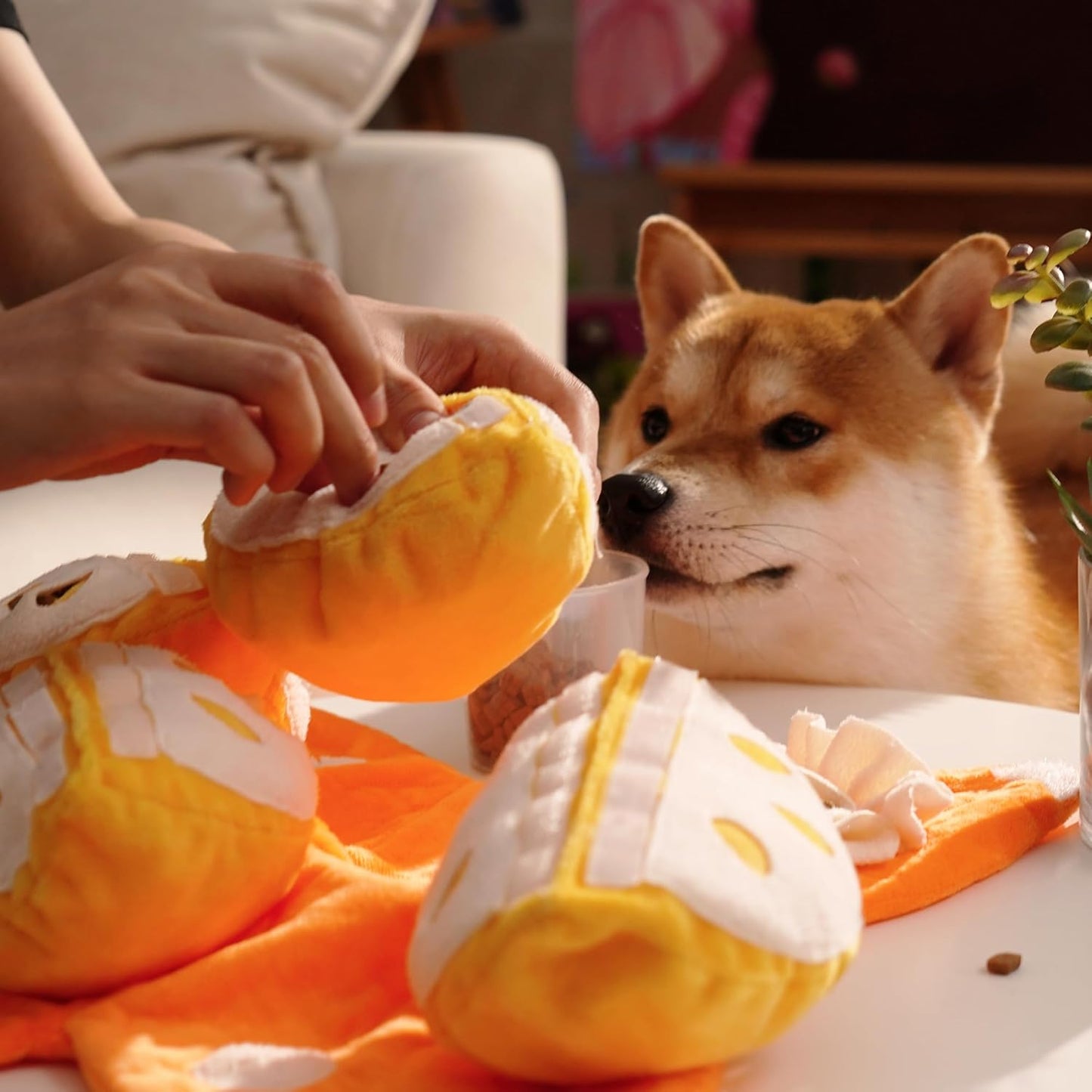 Nocciola, Hide and Seek Plush Dog Toys, Orange Tangerine Interactive Dog Toy for Small Dogs, Puppy Squeaky Toy with Crinkle Papers, Puzzle Toy for Boredom, Nose work Pet Toy for Small Medium Dogs