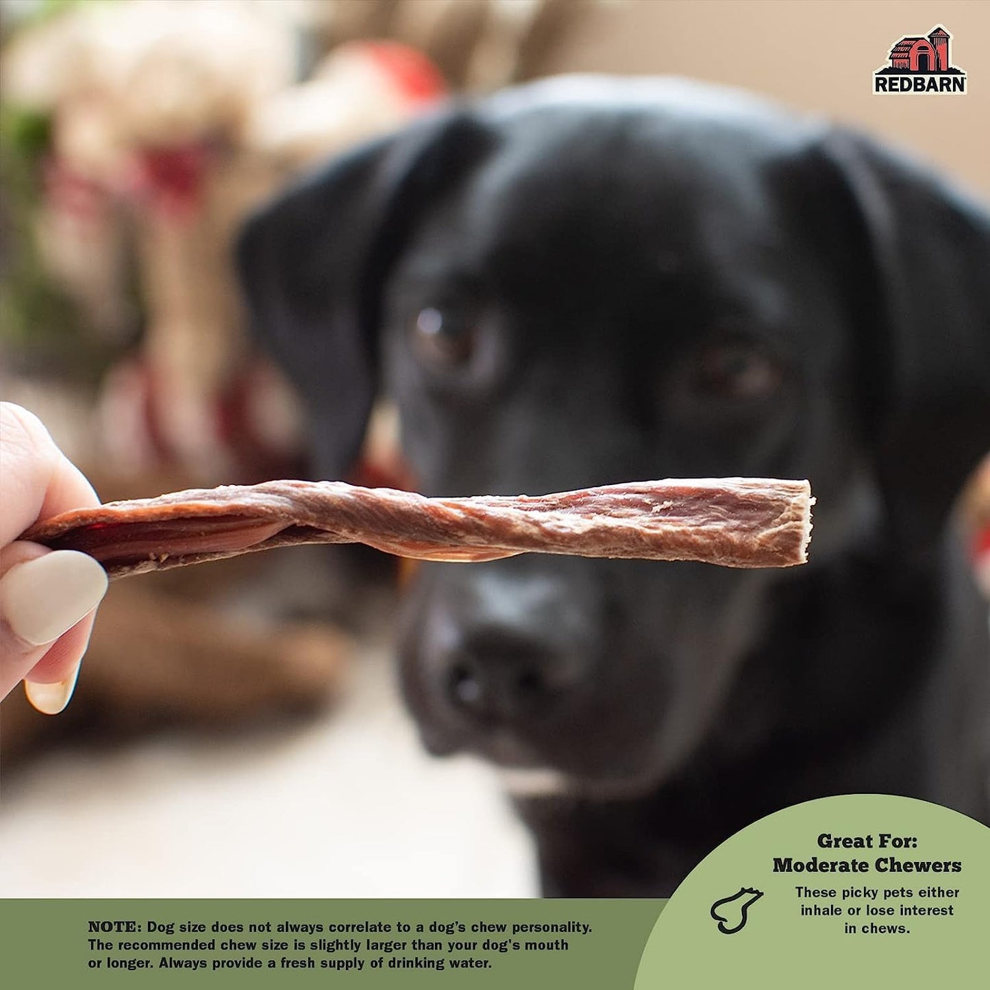 Redbarn, Bully Slims Esophagus Dog Treats – Single Protein Made with 100% Natural Beef Esophagus, Slow-Roasted for Maximum Flavor – No Rawhide, Highly Digestible Chew, Gluten-Free - 9.4 oz (Pack of 2)