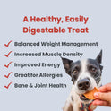 Farm To Pet, Dog Training Treats - Chicken Chips, Single Ingredient, Lean, All Natural, Healthy Dog Treats for Small, Medium, Large Dog Breeds, & Puppies, Made in USA