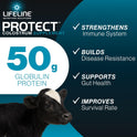 ANNUSO, LIFELINE Protect Colostrum Supplement for Calves, 1lb Bag - 50g Globulin Protein per Feeding - 20% Added Fat and Carbohydrates - Immune and Energy Support for Newborn Calves