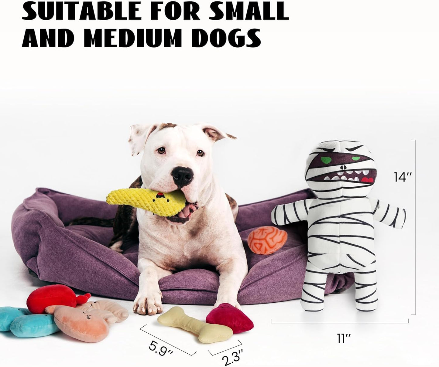 Nocciola, Zombie Mummy Dog Toys with Organs: Funny Cool Hide and Seek Squeaky Chew Toys for Puppies, Small and Medium Size Breed, Plush Stuffed Cognitive Puzzle Toys for Training