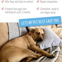 Adams, Flea & Tick Spray Plus Precor 16 oz - Pack of 2