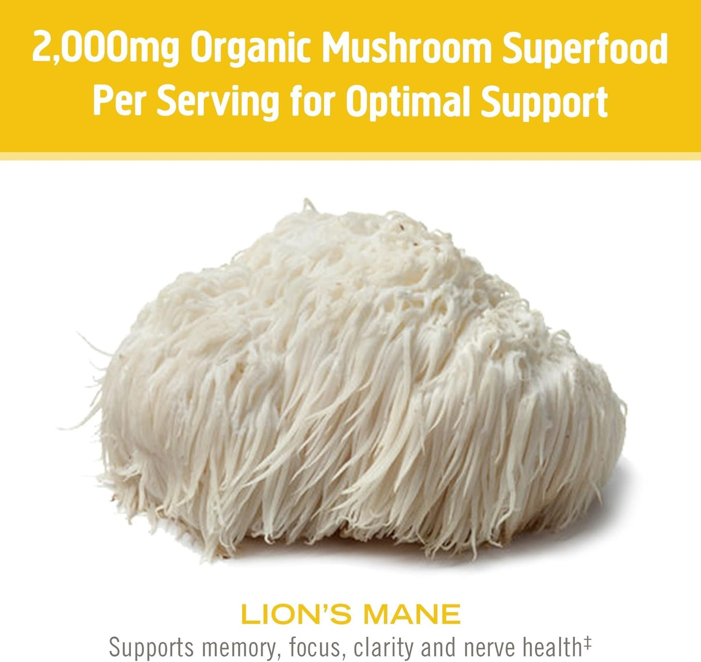 OM, Mushroom Superfood | Lion's Mane | USA Grown Organic Mushrooms | Memory, Focus, Clarity, Nerve Health & Mood Support | 7.05 oz, 100 Servings