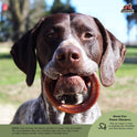 Redbarn Pet Products, Bully Rings, 3-Pack, Case of 8