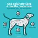 Provecta®, PRO Flea & Tick Collar for Dogs