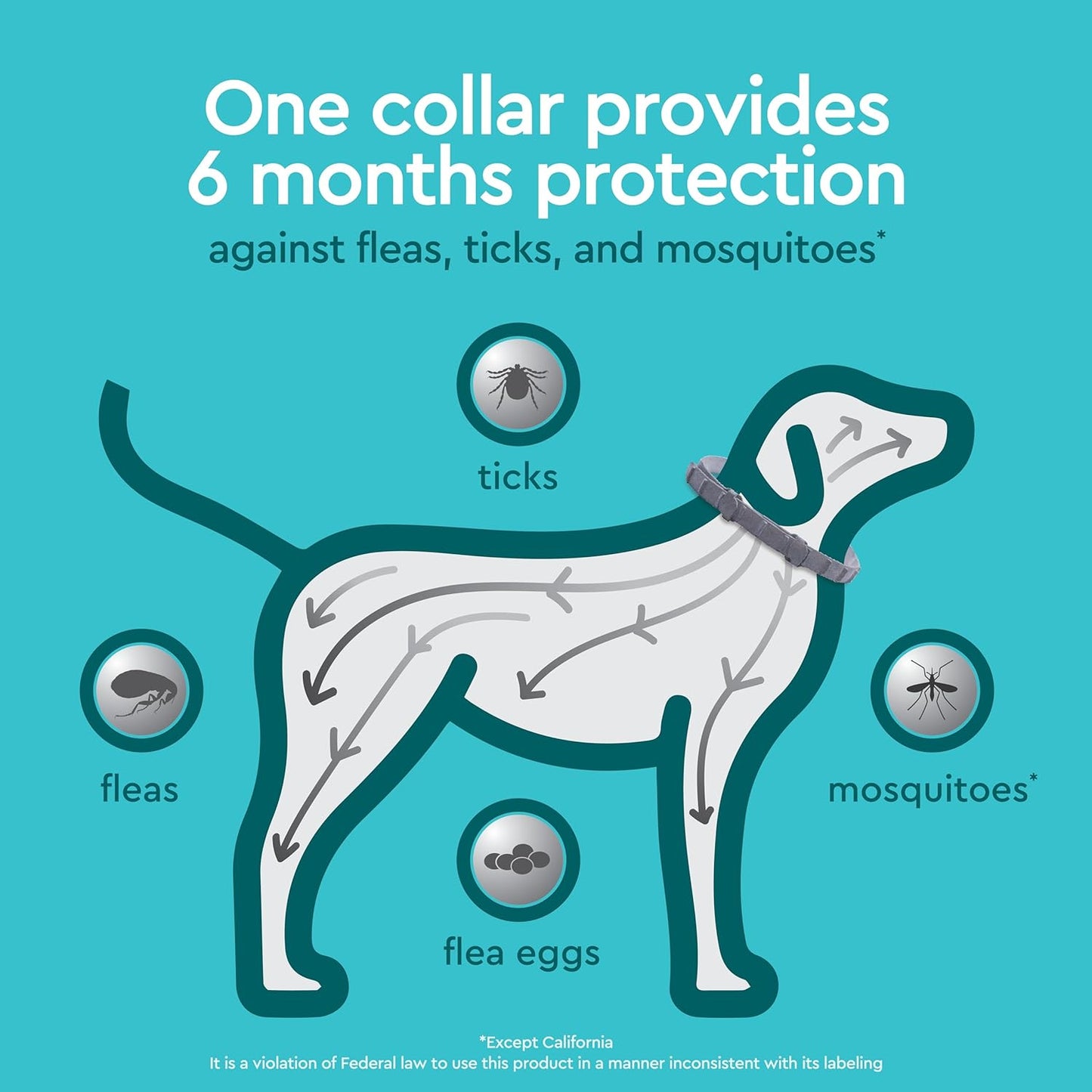 Provecta®, PRO Flea & Tick Collar for Dogs