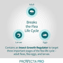 Provecta®, PRO Flea & Tick Collar for Dogs