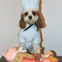 Nocciola, Stuffed Pig Dog Toys: Hide and Seek Funny Squeaky Crinkle Plush Dog Chew Toys for Small Medium Breed, Cognitive Training Pet Enrichment Gifts Supplies