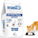 Forza10, Active Intestinal Support Diet Dry Cat Food for Adult Cats, Cat Food Dry for Upset Stomach, Diarrhea and Intestinal Disorders, Wild Caught Anchovy Flavor, 4 Pound Bag