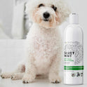 NEXDERMA, Natural Colloidal Medicated Pet Shampoo for Dogs and Cats - Tearless Hypoallergenic, Soap Free with Coconut Oil and Mint, Relief for Allergies, Odor, Itchy, Dry, Irritated Skin - 16oz, 1Pack