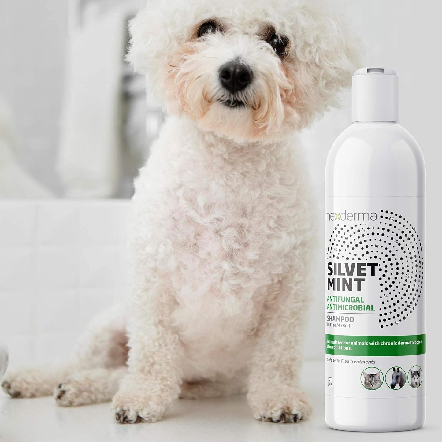 NEXDERMA, Natural Colloidal Medicated Pet Shampoo for Dogs and Cats - Tearless Hypoallergenic, Soap Free with Coconut Oil and Mint, Relief for Allergies, Odor, Itchy, Dry, Irritated Skin - 16oz, 1Pack