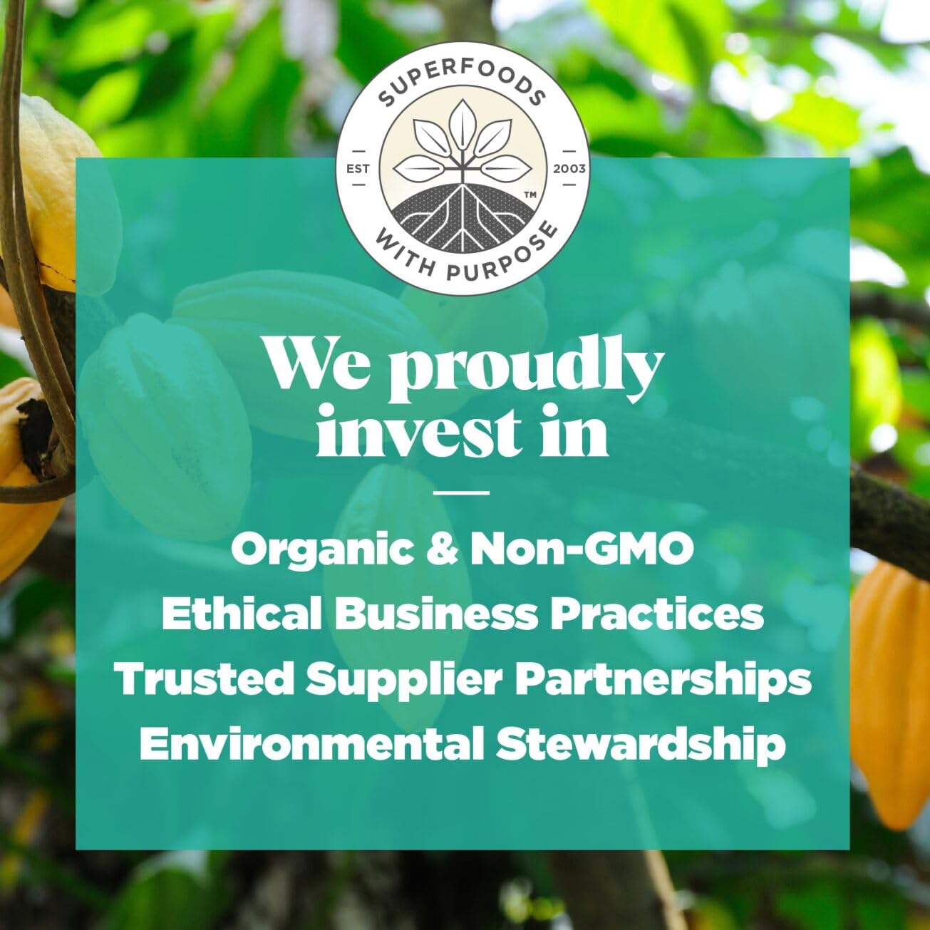 Navitas Organics, Cacao Sweet Nibs, 4oz. Bag, 28 Servings — Organic, Non-GMO, Gluten-Free