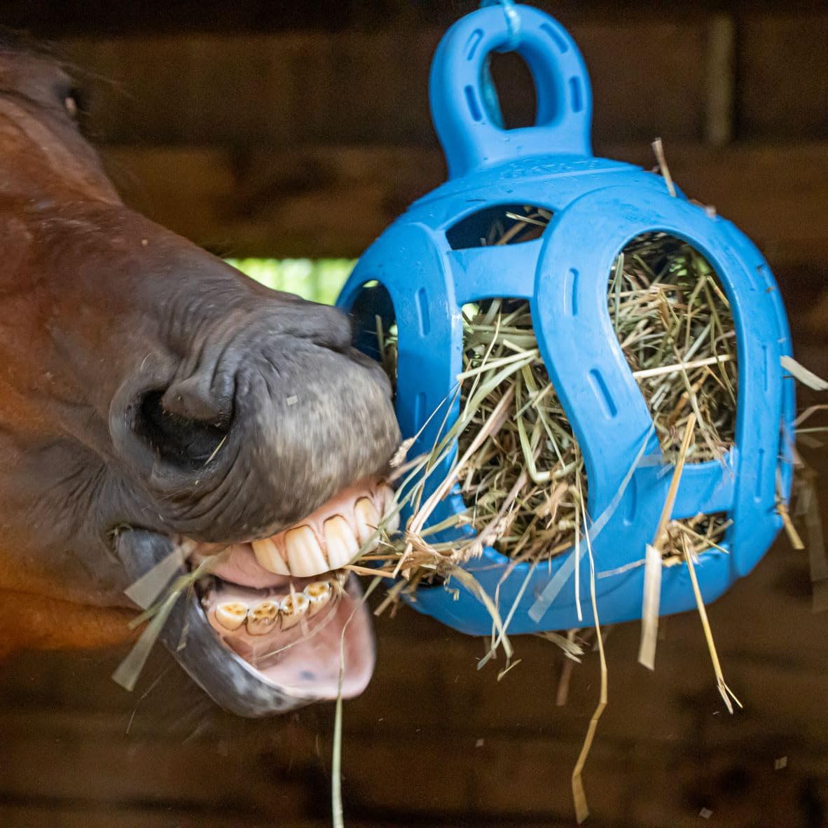 Horsemen's Pride, Jolly Hay Ball Stall Toy for Horses, Blue, 8"