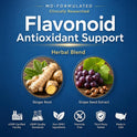 Dr. Barton's, Dizzy Stop  Vertigo Relief Products with Ginger and Grape Seed - Non-Drowsy Motion Sickness Pills for Dizziness Relief and Inner Ear Balance - 80 Count
