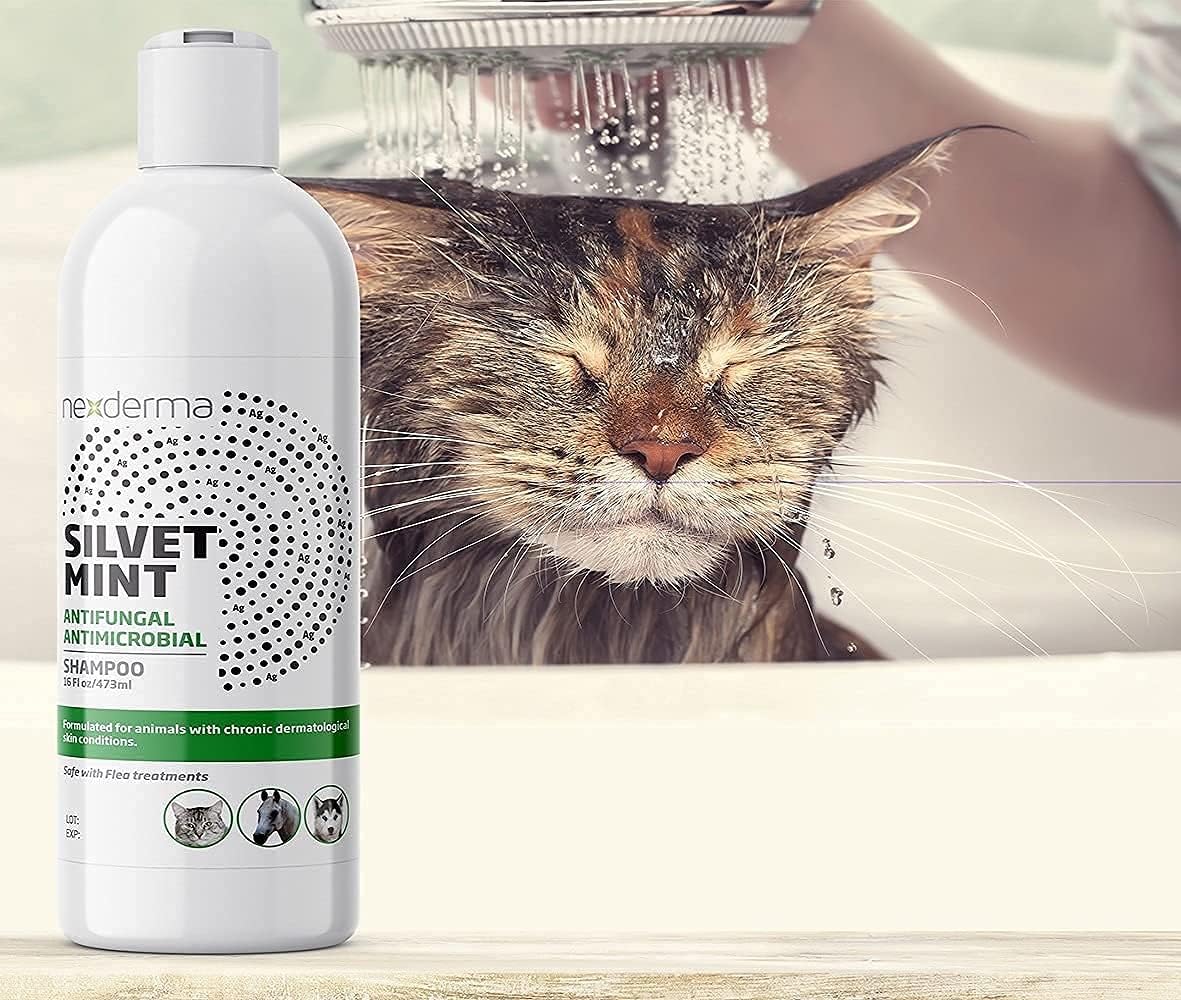 NEXDERMA, Natural Colloidal Medicated Pet Shampoo for Dogs and Cats - Tearless Hypoallergenic, Soap Free with Coconut Oil and Mint, Relief for Allergies, Odor, Itchy, Dry, Irritated Skin - 16oz, 1Pack