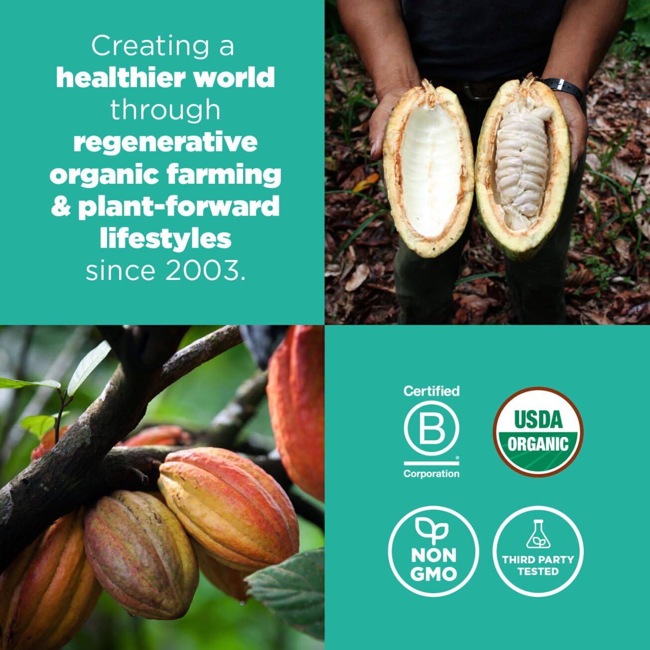 Navitas Organics, Cacao Sweet Nibs, 4oz. Bag, 28 Servings — Organic, Non-GMO, Gluten-Free