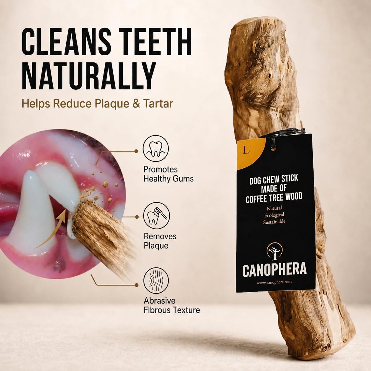 Canophera, Coffee Wood Dog chew Sticks for Regular chewers - Size Large