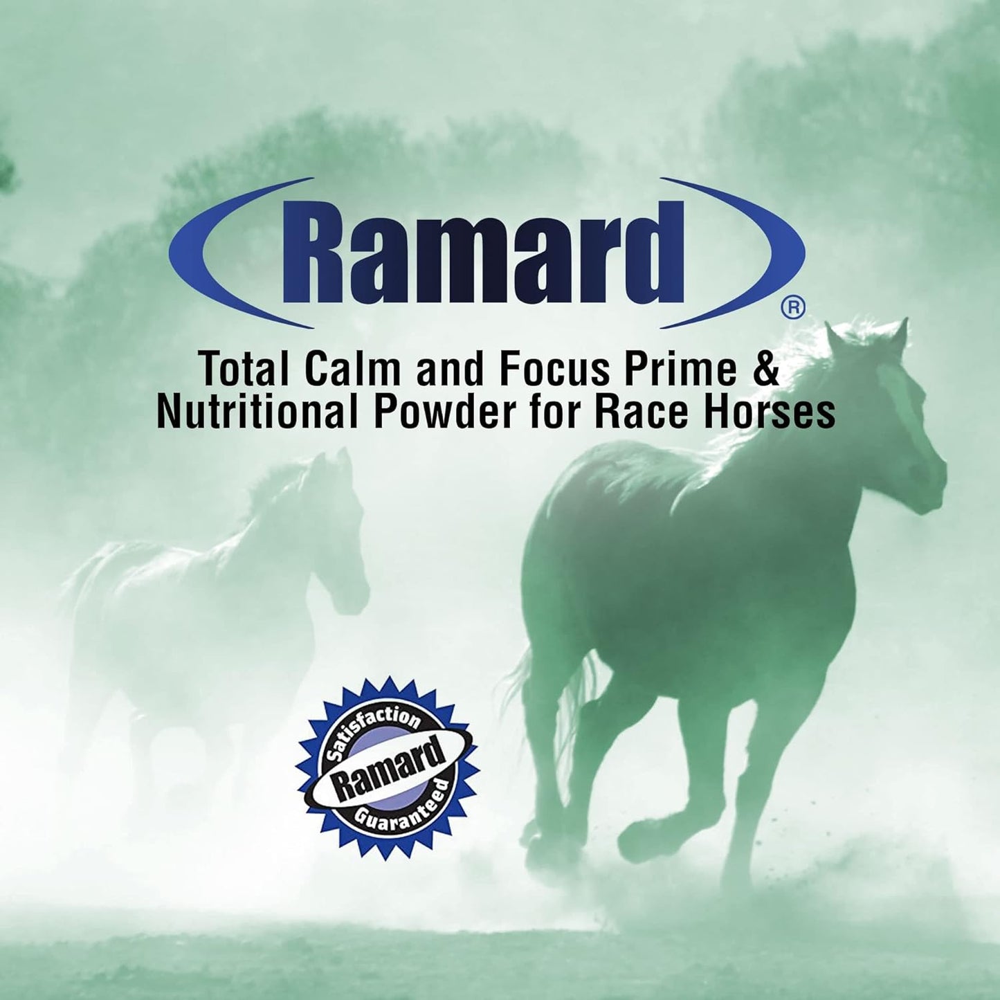 Ramard, Total Calm and Focus for Horses Supplement - Magnesium & Calming Formula for Horse Show, Training, & Performance Mental Alertness Without Drowsiness, Show Safe, Perfect Prep for Horses 1 Pack