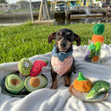 Nocciola, Squeaky Fruits Veggies Stuffed Dog Toys Pack- Hide Seek Grocery Basket Crinkle Plush Puppy Toys to Keep Busy, Birthday Pet Supplies Gifts for Small Medium Breeds