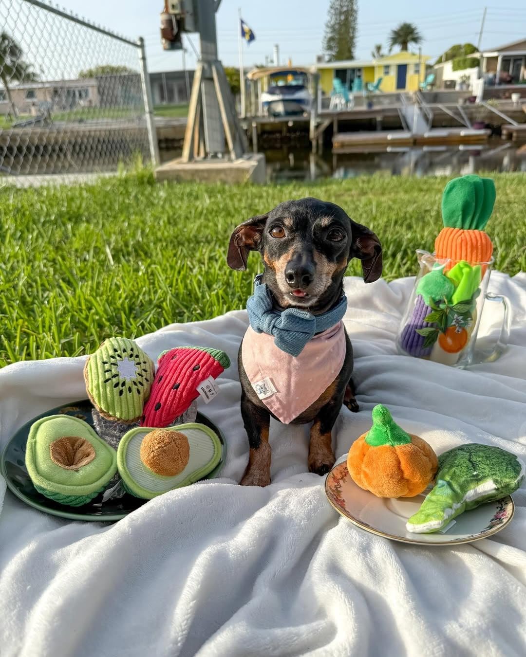 Nocciola, Squeaky Fruits Veggies Stuffed Dog Toys Pack- Hide Seek Grocery Basket Crinkle Plush Puppy Toys to Keep Busy, Birthday Pet Supplies Gifts for Small Medium Breeds