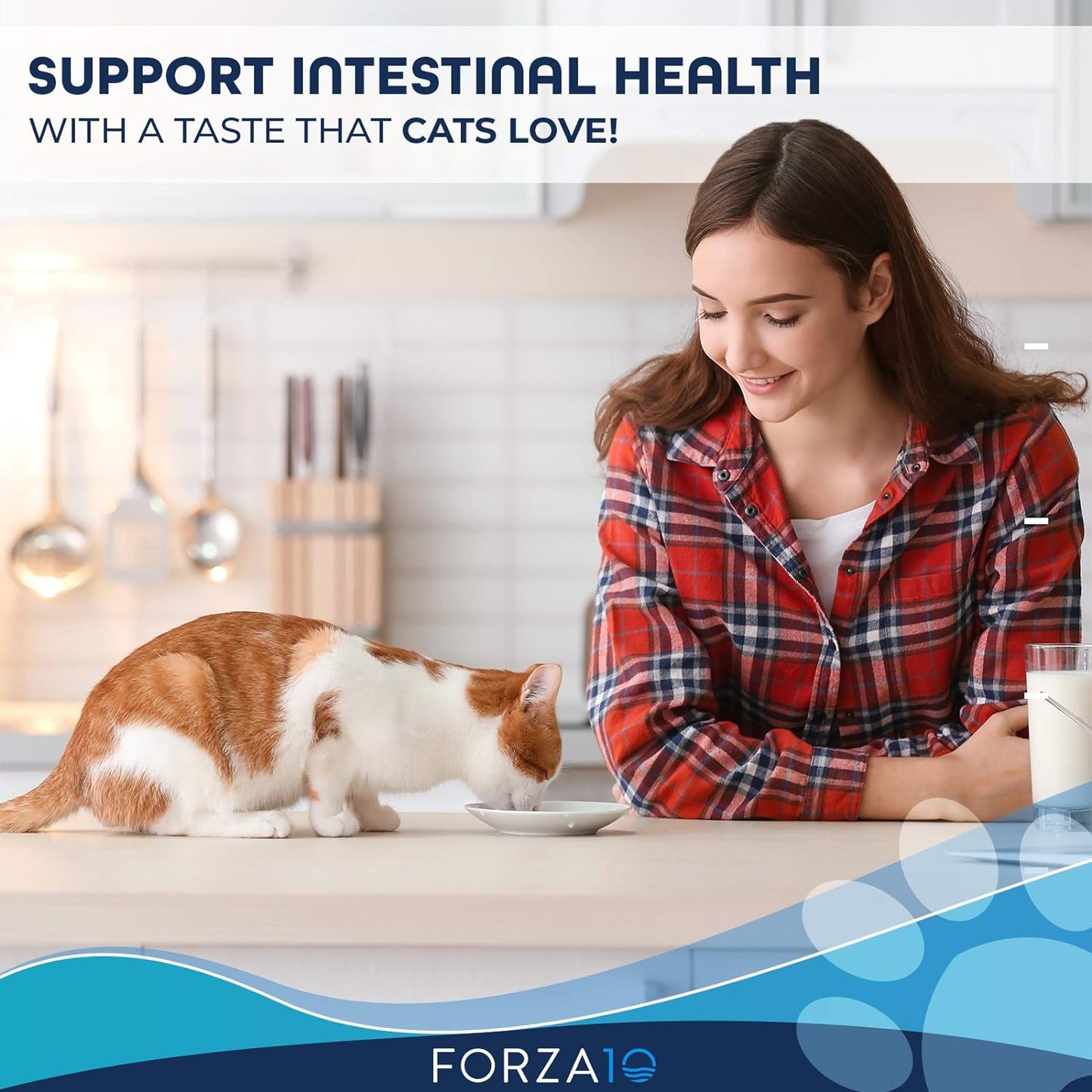 Forza10, Active Intestinal Support Diet Dry Cat Food for Adult Cats, Cat Food Dry for Upset Stomach, Diarrhea and Intestinal Disorders, Wild Caught Anchovy Flavor, 4 Pound Bag