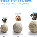 Nocciola, Wobble Giggle Ball for Dogs, Interactive Dog Toys for Boredom, Squeaky Ball Dog Toys to Keep Them Busy, Pet Toys for Small Medium Large Dogs, Fun Giggle Sounds When Rolled or Shaken (S)