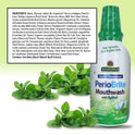 Nature's Answer, Periobrite Cool Mint All-Natural Mouthwash | Promotes Healthy Teeth & Gums | Fights Bad Breath | Fluoride-Free, Alcohol-Free & Gluten-Free | No Artificial Preservatives 16oz (2 Pack)