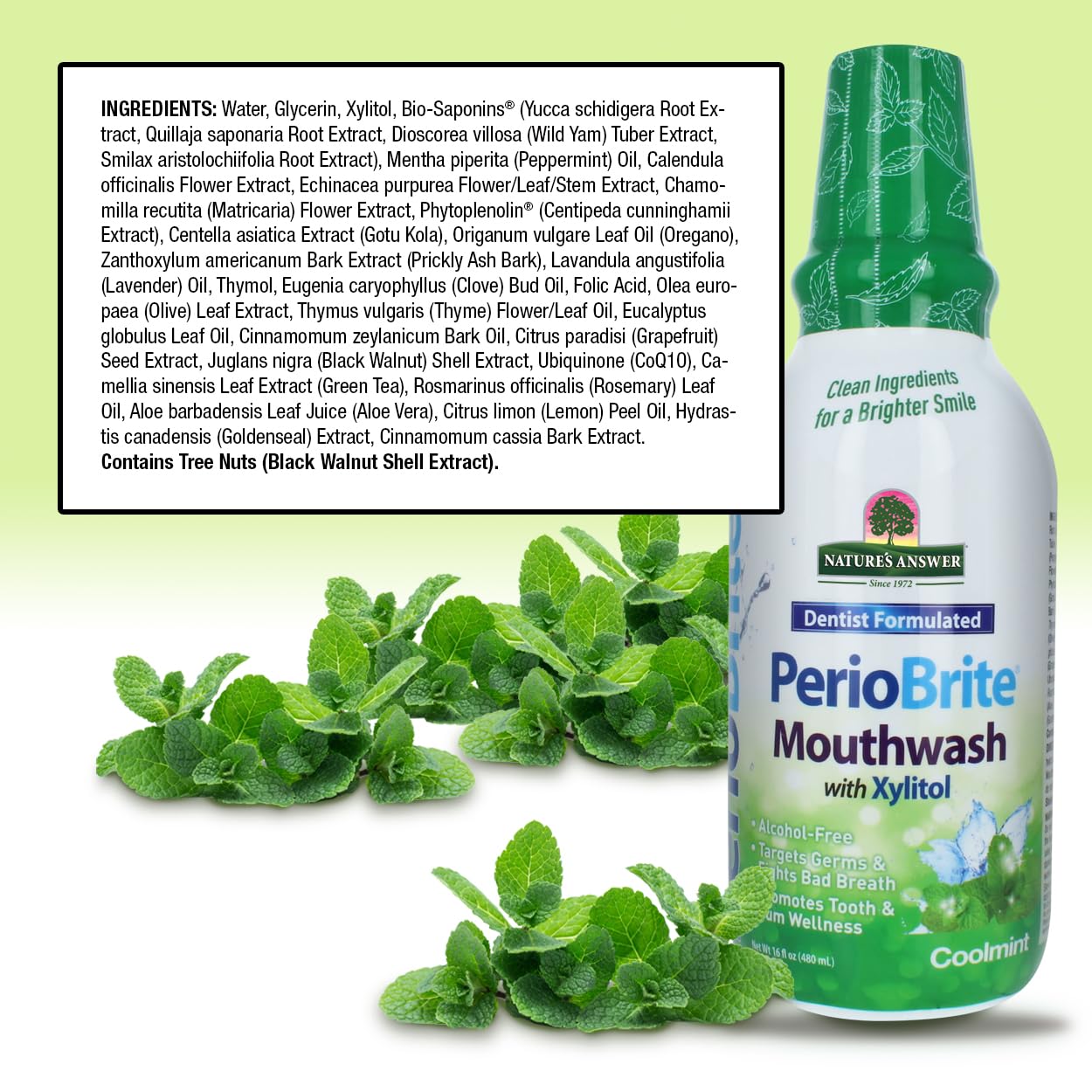 Nature's Answer, Periobrite Cool Mint All-Natural Mouthwash | Promotes Healthy Teeth & Gums | Fights Bad Breath | Fluoride-Free, Alcohol-Free & Gluten-Free | No Artificial Preservatives 16oz (2 Pack)