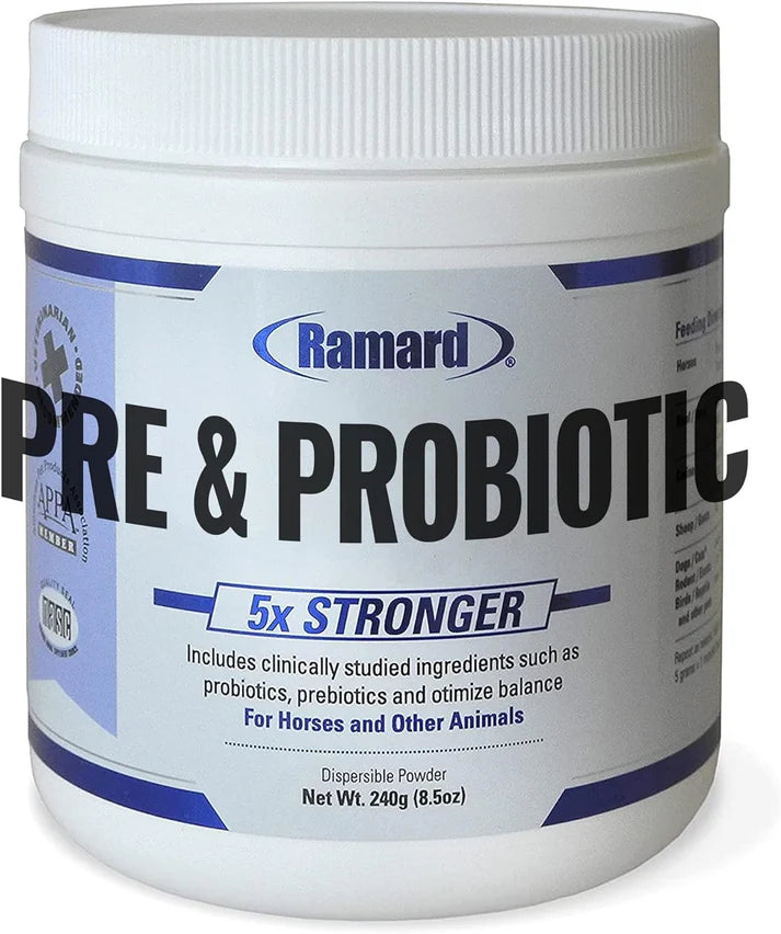 Ramard, Total Prebiotic & Probiotic Equine Formula - Natural Digestive Supplement for Horses Optimal Gut Health, Nutrient Absorption, Foal Support Pro & Pre Biotics for Livestock and Horse 8.5 oz. Jar