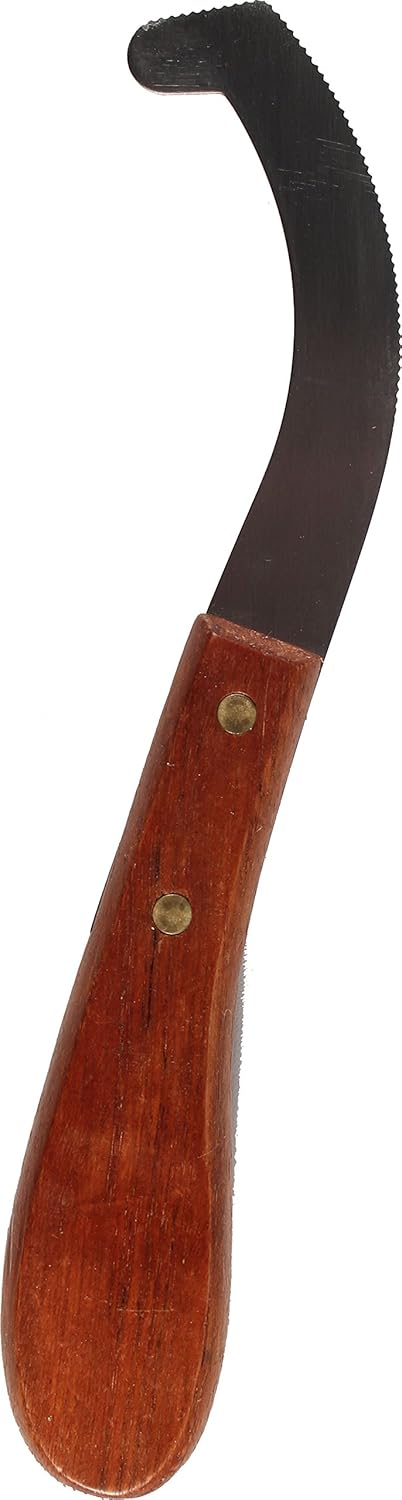 Partrade, 244500E924 Stainless Steel Bot Egg Scraper, 9