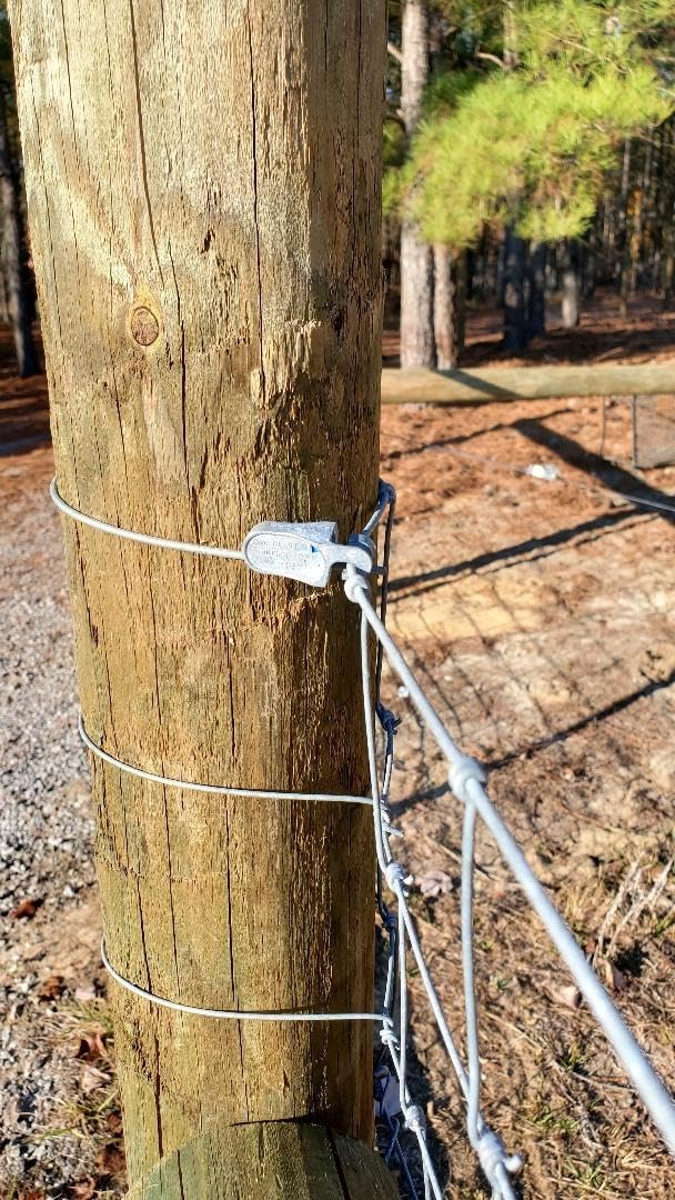 Gripple T-Clip
