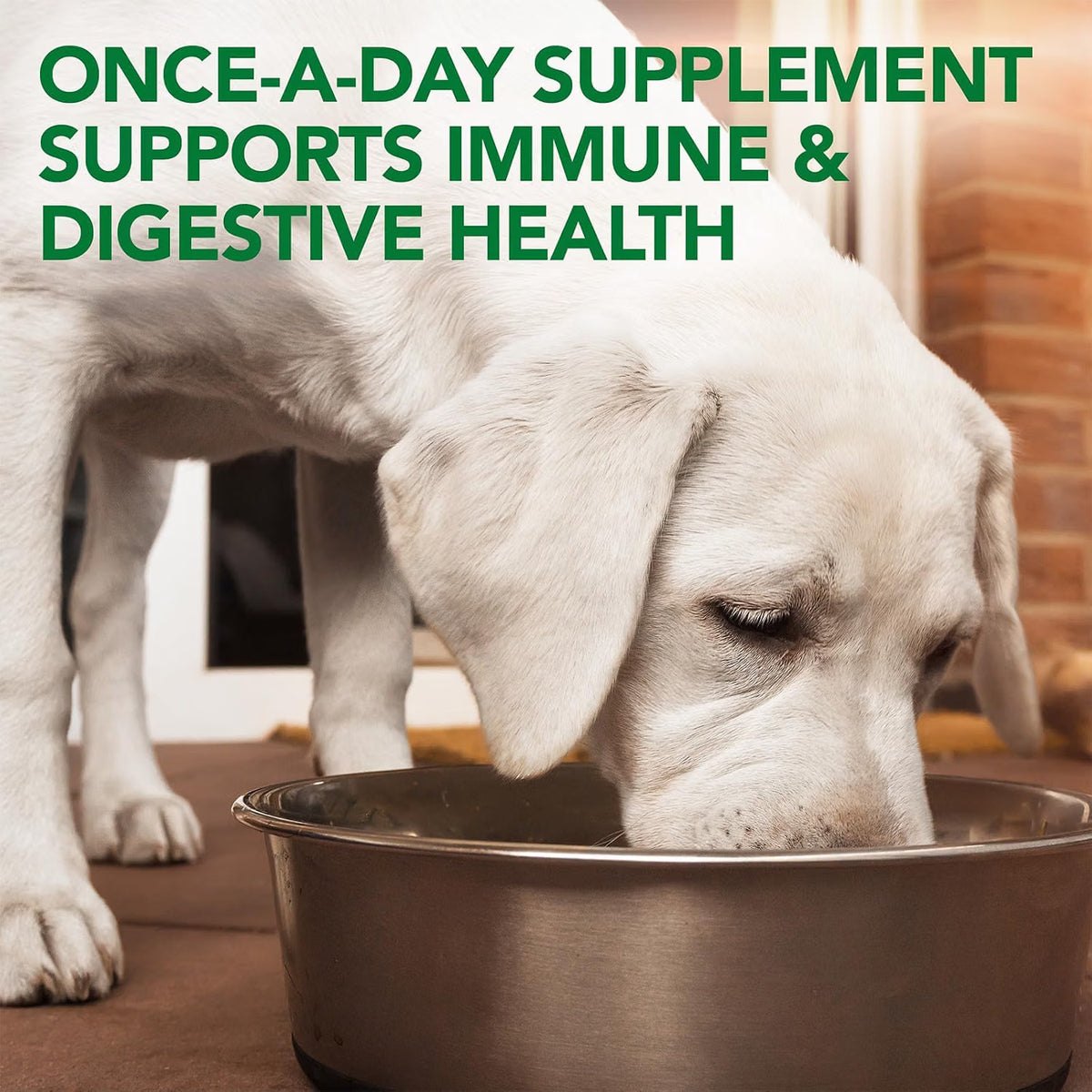 Vet's Best, Probiotic Soft Chews for Dogs, Digestive Aid, 30 Day Supply