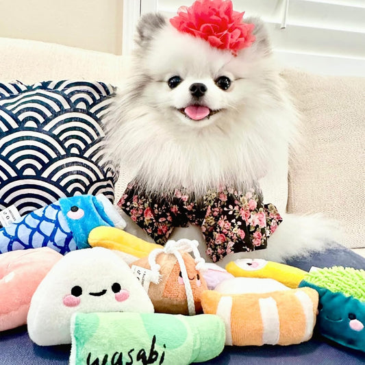Nocciola, 10 PC Sushi Squeaky Small Dog Toys, Cute Stuffed Puppy Toys with Bag, Plush Dog Squeaky Toy for Small Medium to Keep Them Busy