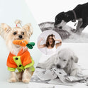 Nocciola, Dog Squeaky Toys, Plush Small Dog Toys for Dogs, Stuffed with Squeakers,12 pcs Puppy Toys with a Carrying Bag for Small Medium Size